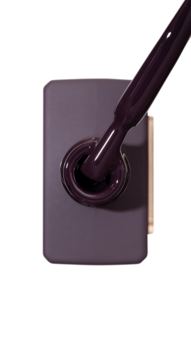 Catalog — Photo 31