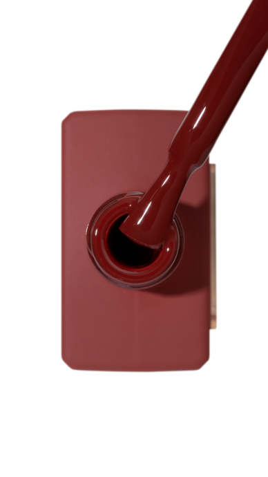 Catalog — Photo 29