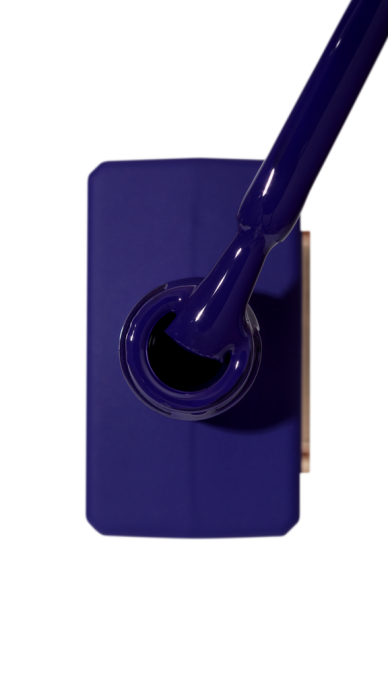Catalog — Photo 20