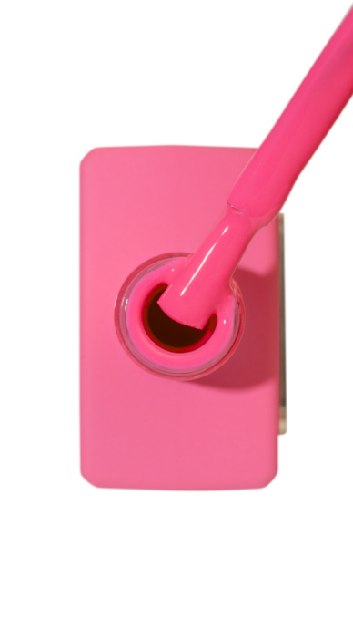 Catalog — Photo 11