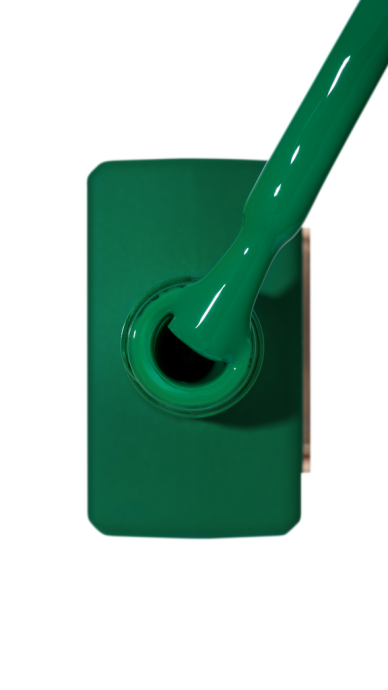 Catalog — Photo 35