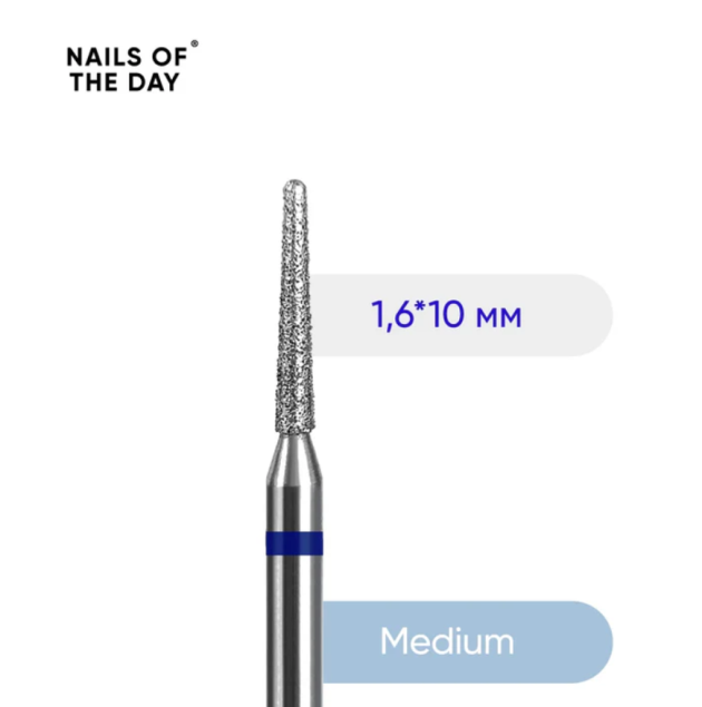 Catalog — Photo 26